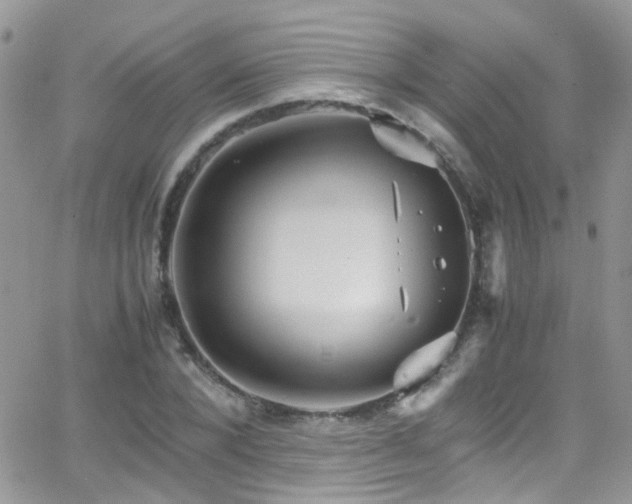 X0000066540880200603171238