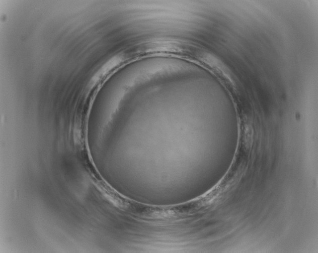 X0000066540882200603171238