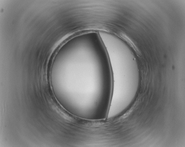 X0000066540884200603171238