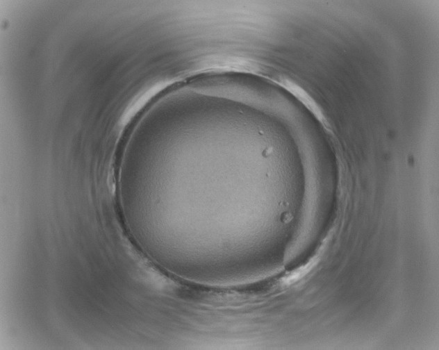 X0000066540885200603171238