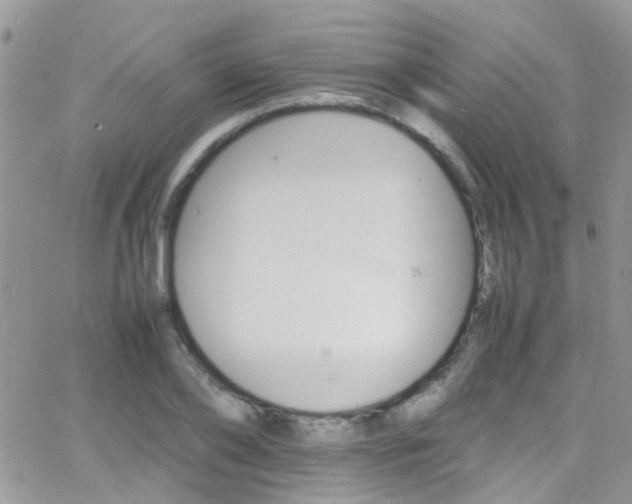 X0000066540886200603171238