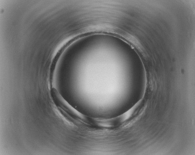 X0000066540888200603171238