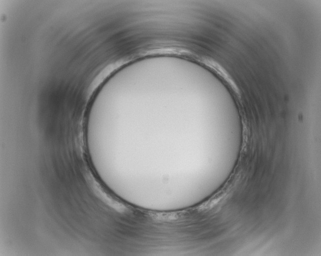 X0000066540890200603171238