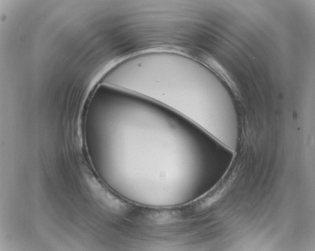 X0000066540892200603171238