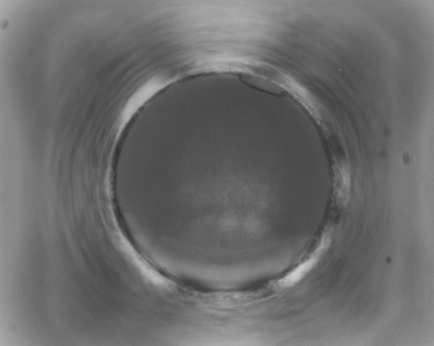 X0000066540893200603171238