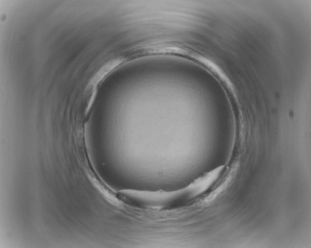 X0000066540897200603171238