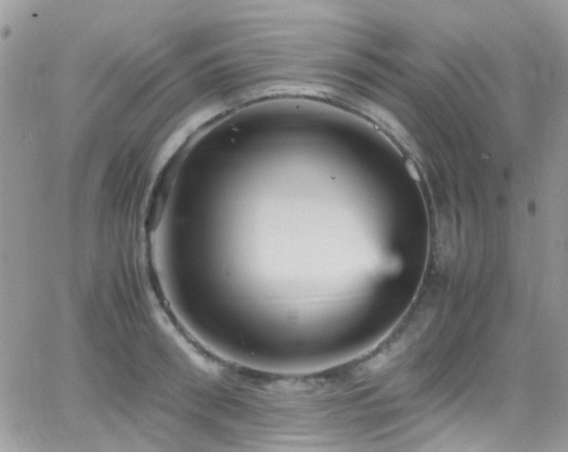 X0000066540898200603171238