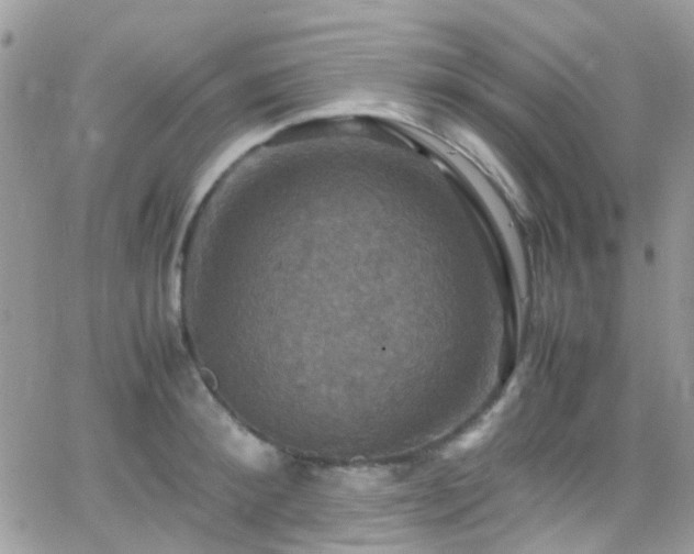 X0000066540900200603171238