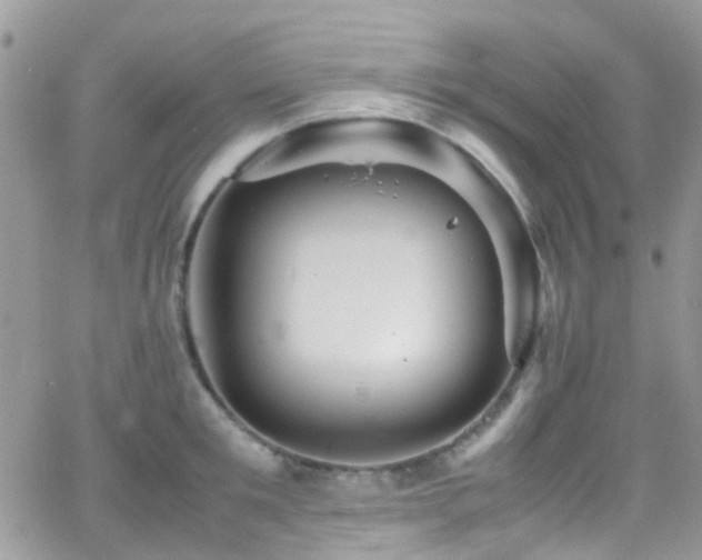 X0000066540901200603171238