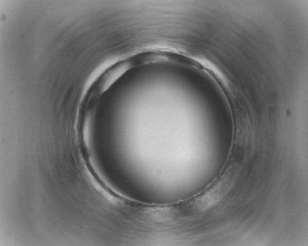 X0000066540902200603171238