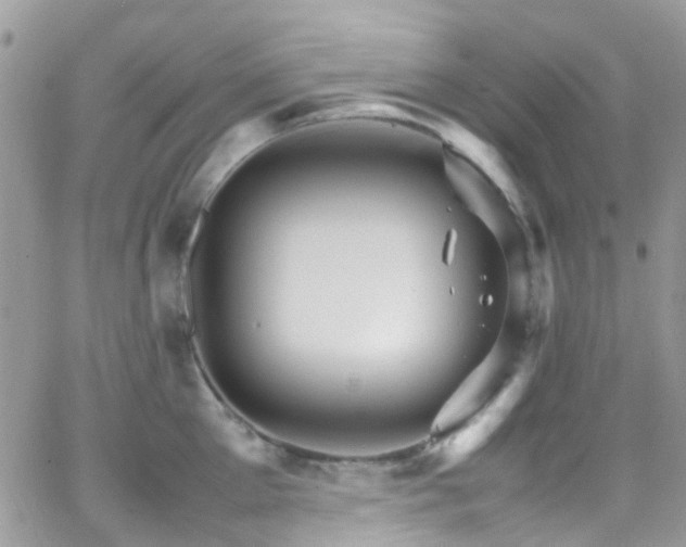 X0000066540905200603171237