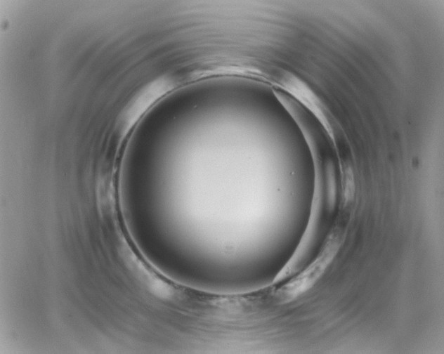 X0000066540906200603171237