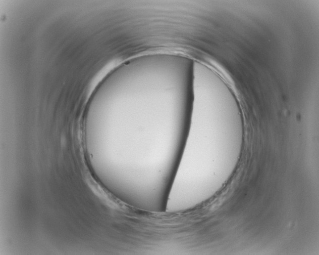 X0000066540907200603171237