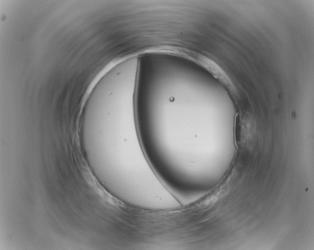 X0000066540908200603171237