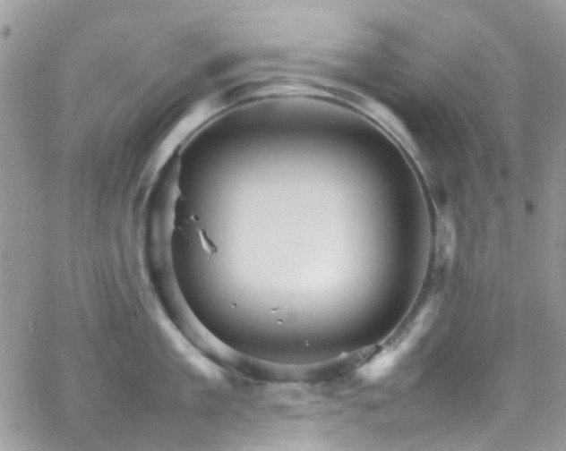 X0000066540909200603171237