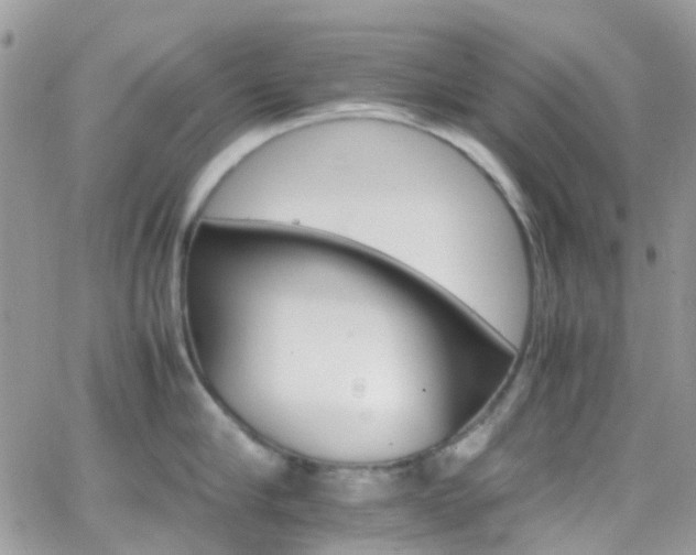 X0000066540910200603171237