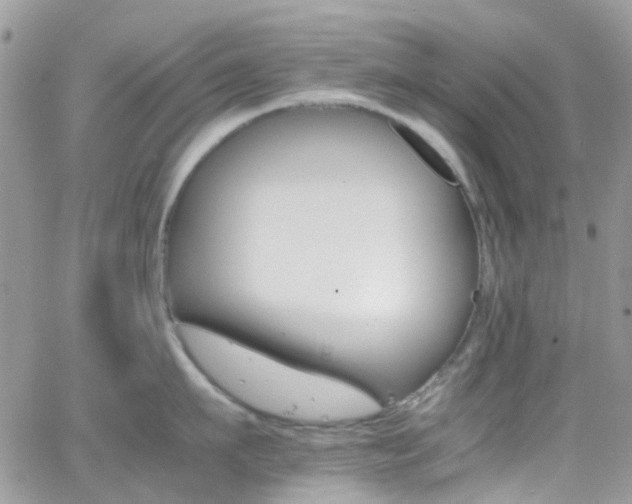 X0000066540911200603171237