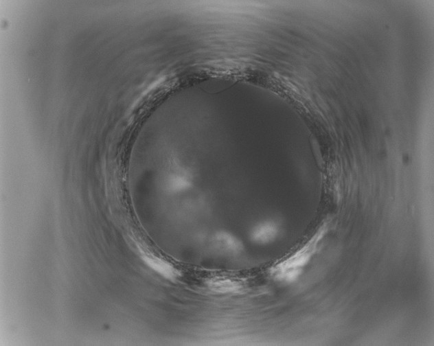 X0000066540913200603171237