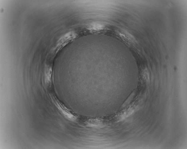 X0000066540914200603171237