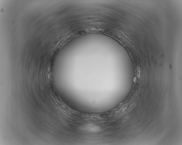 X0000066540915200603171237