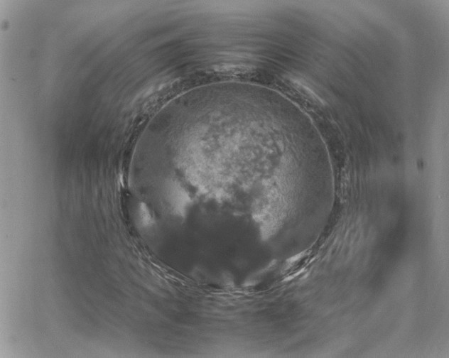 X0000066540917200603171237