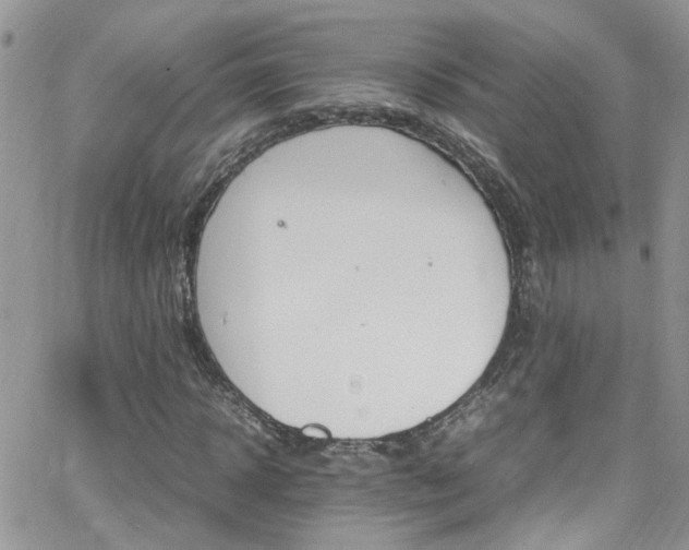 X0000066540918200603171237