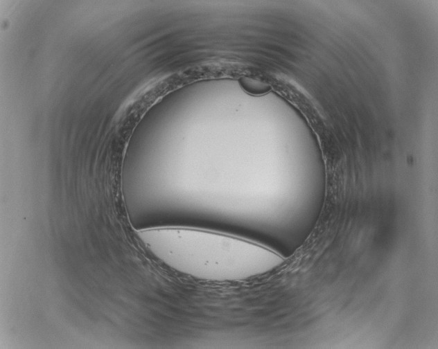 X0000066540919200603171237