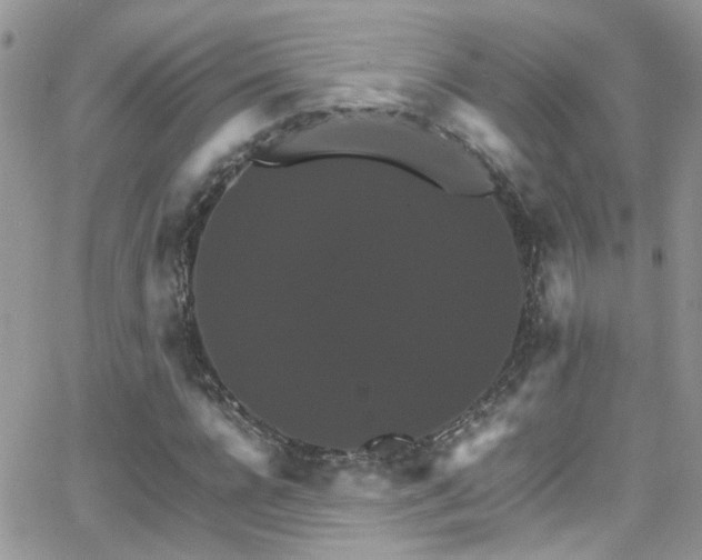 X0000066540920200603171237