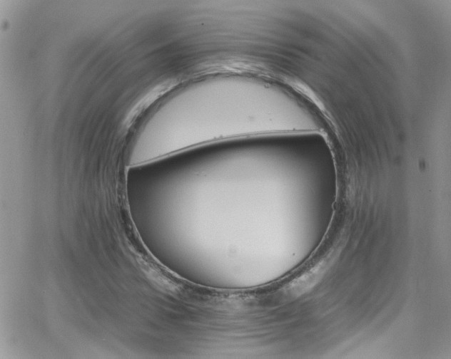 X0000066540922200603171237