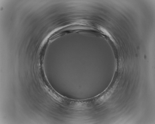 X0000066540923200603171237