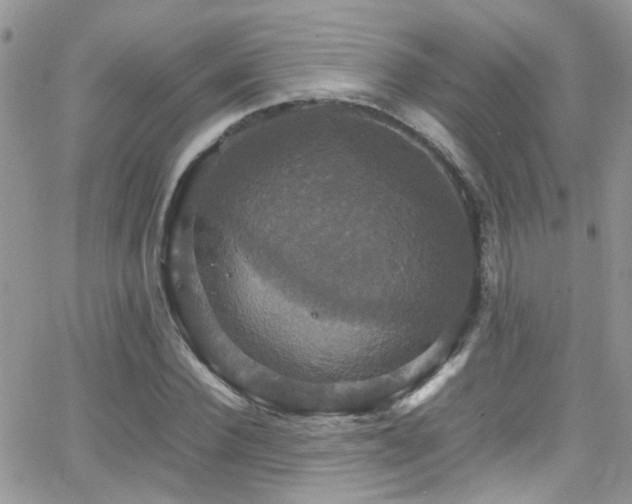 X0000066540924200603171237