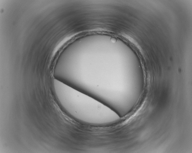 X0000066540925200603171237