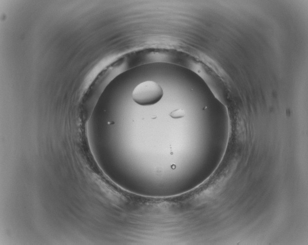 X0000066540926200603171237