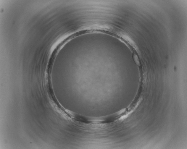 X0000066540928200603171237