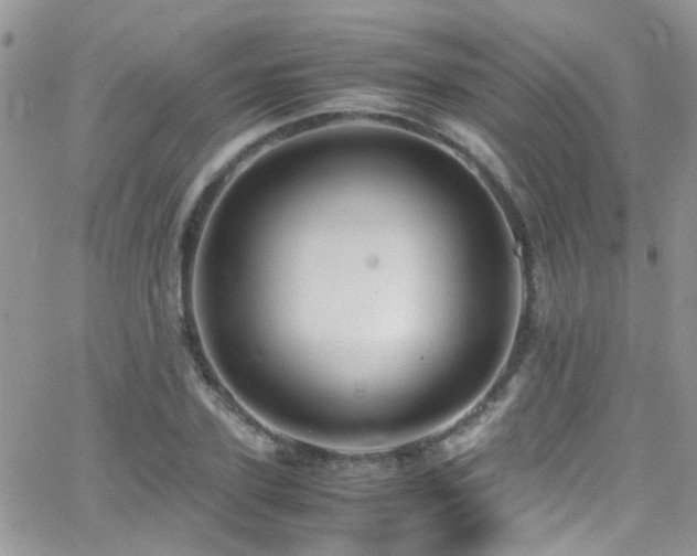 X0000066540931200603171237