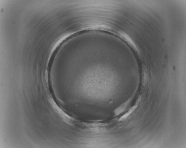 X0000066540932200603171237