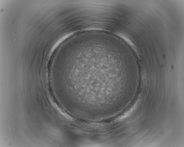 X0000066540933200603171237