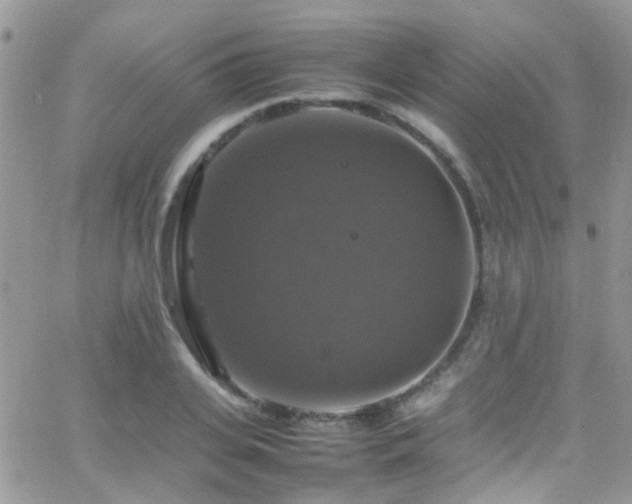 X0000066540935200603171237