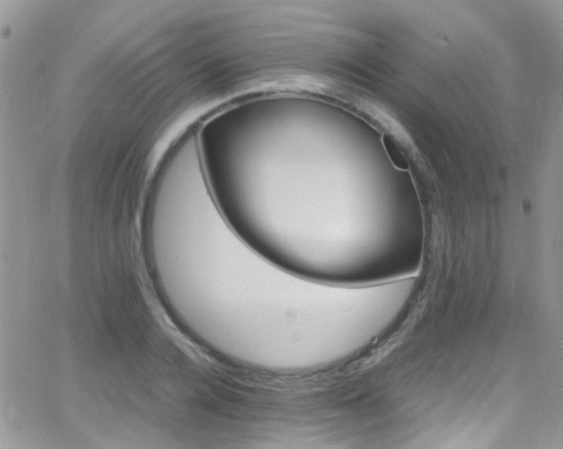 X0000066540936200603171237