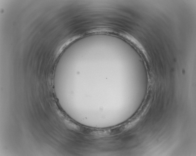 X0000066540937200603171237