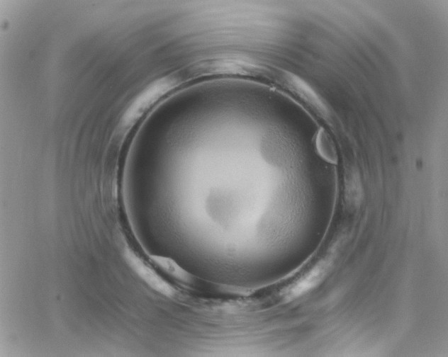 X0000066540938200603171237