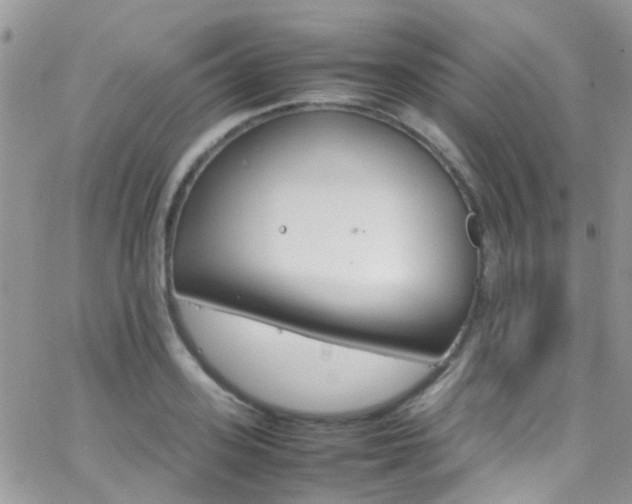 X0000066540939200603171237