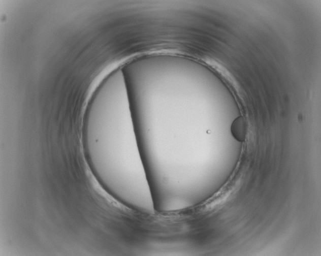 X0000066540941200603171237