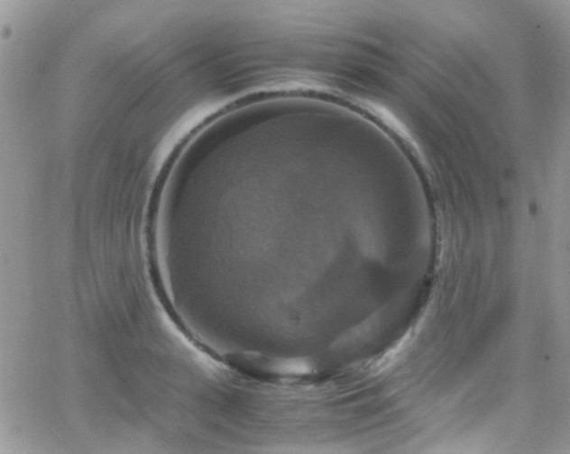 X0000066540943200603171237