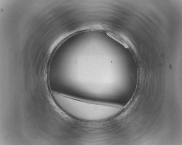 X0000066540944200603171237