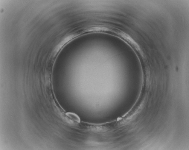 X0000066540945200603171237