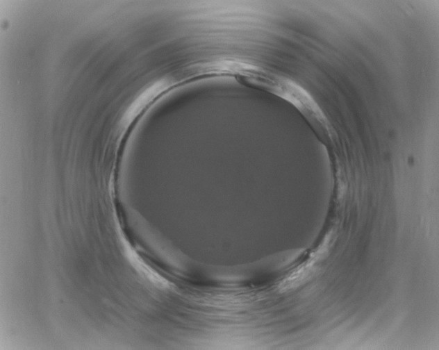 X0000066540946200603171237