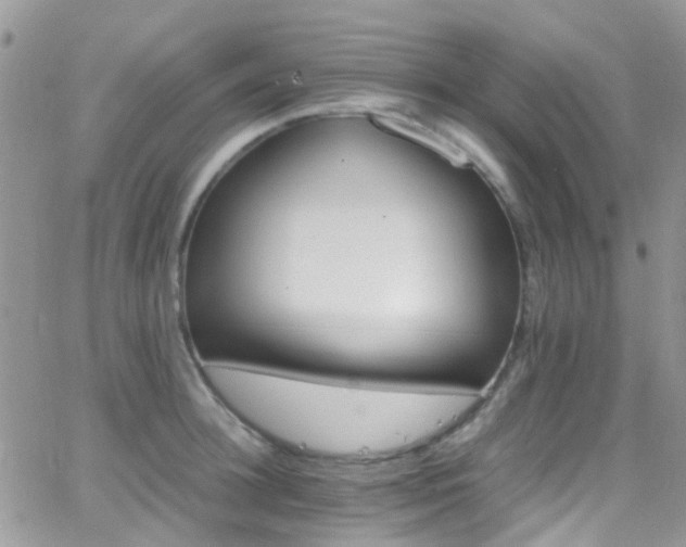 X0000066540948200603171237