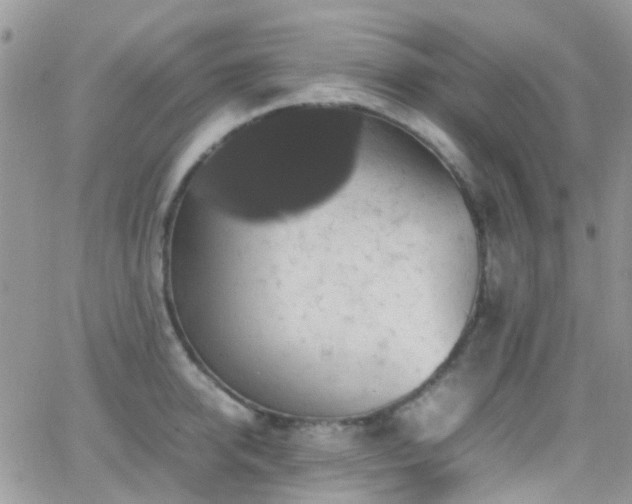 X0000066540950200603171237