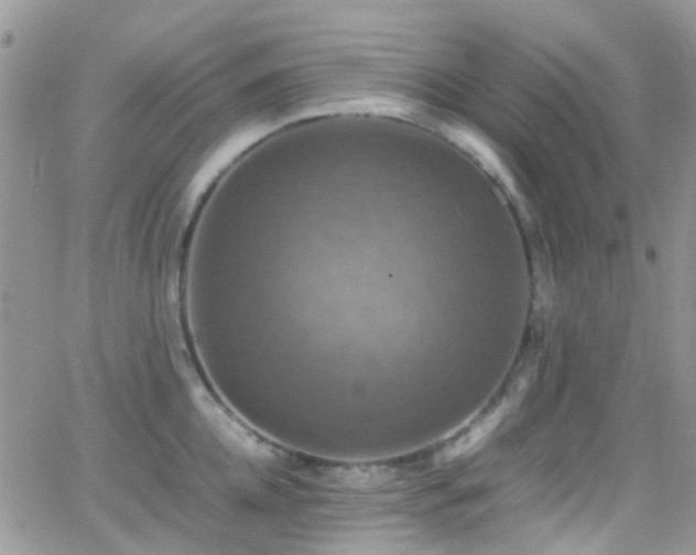 X0000066540952200603171237